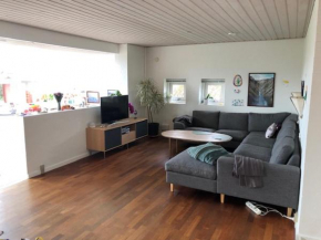 Great house in beautiful surroundings, Aalborg